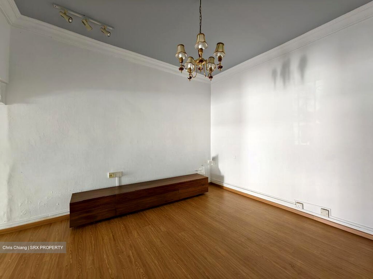 Serangoon Garden Estate (D19), Semi-Detached #639520211